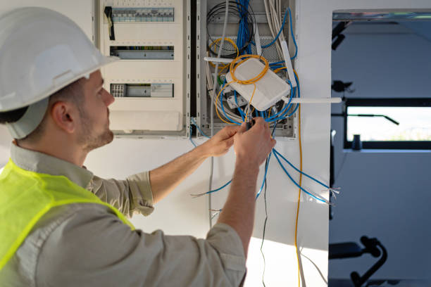Best Electric Panel Repair  in Columbus Junction, IA